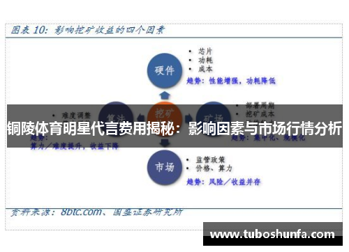 铜陵体育明星代言费用揭秘：影响因素与市场行情分析