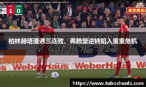 BB贝博
