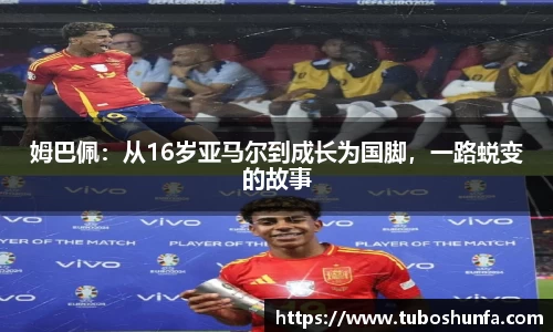 贝博BB官网