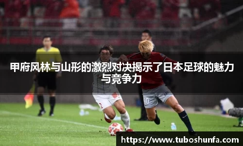 BB贝博官网