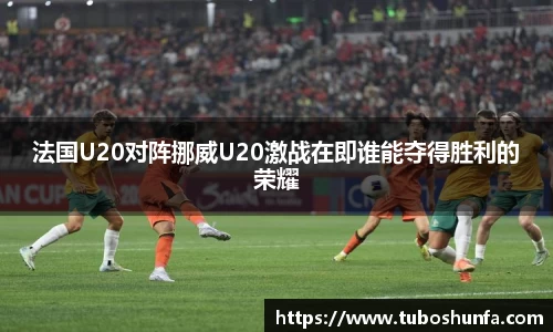 BB贝博官网