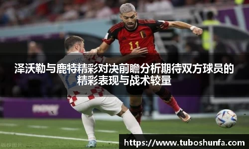 BB贝博官网