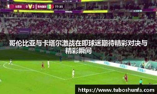 BB贝博官网