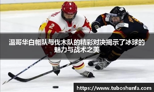 贝博BB官网
